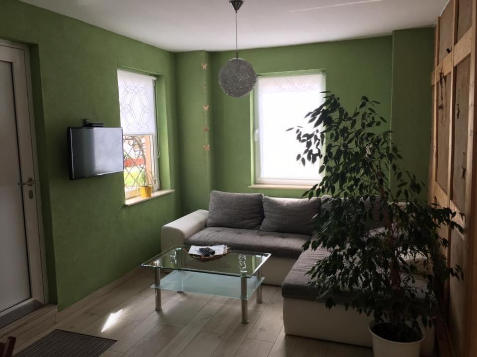 נאומבורג Ferienwohnung Zum Saaletalblick מראה חיצוני תמונה